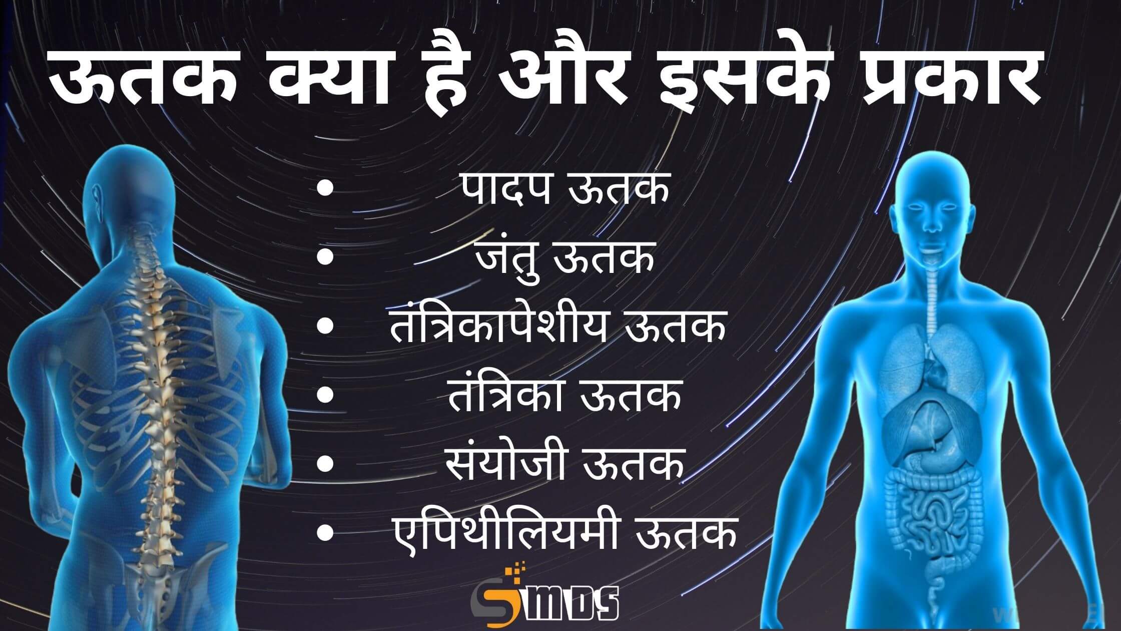 ऊतक क्या है – What is Tissue in Hindi