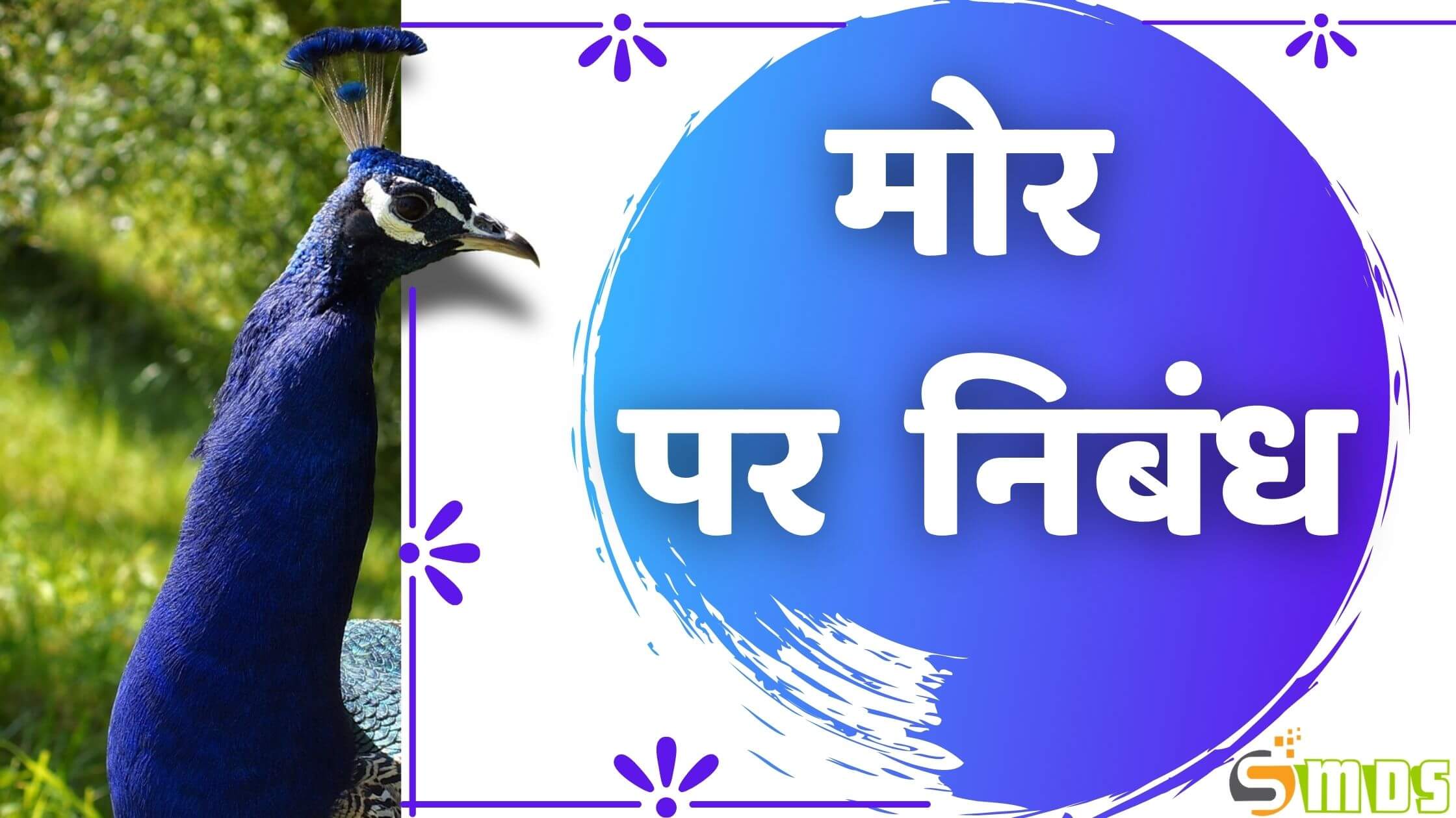 मोर पर निबंध - Essay on Peacock in Hindi
