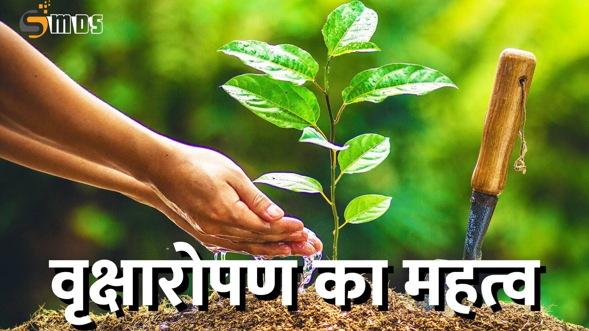 वृक्षारोपण का महत्व पर निबंध, Essay on importance of tree plantation in Hindi