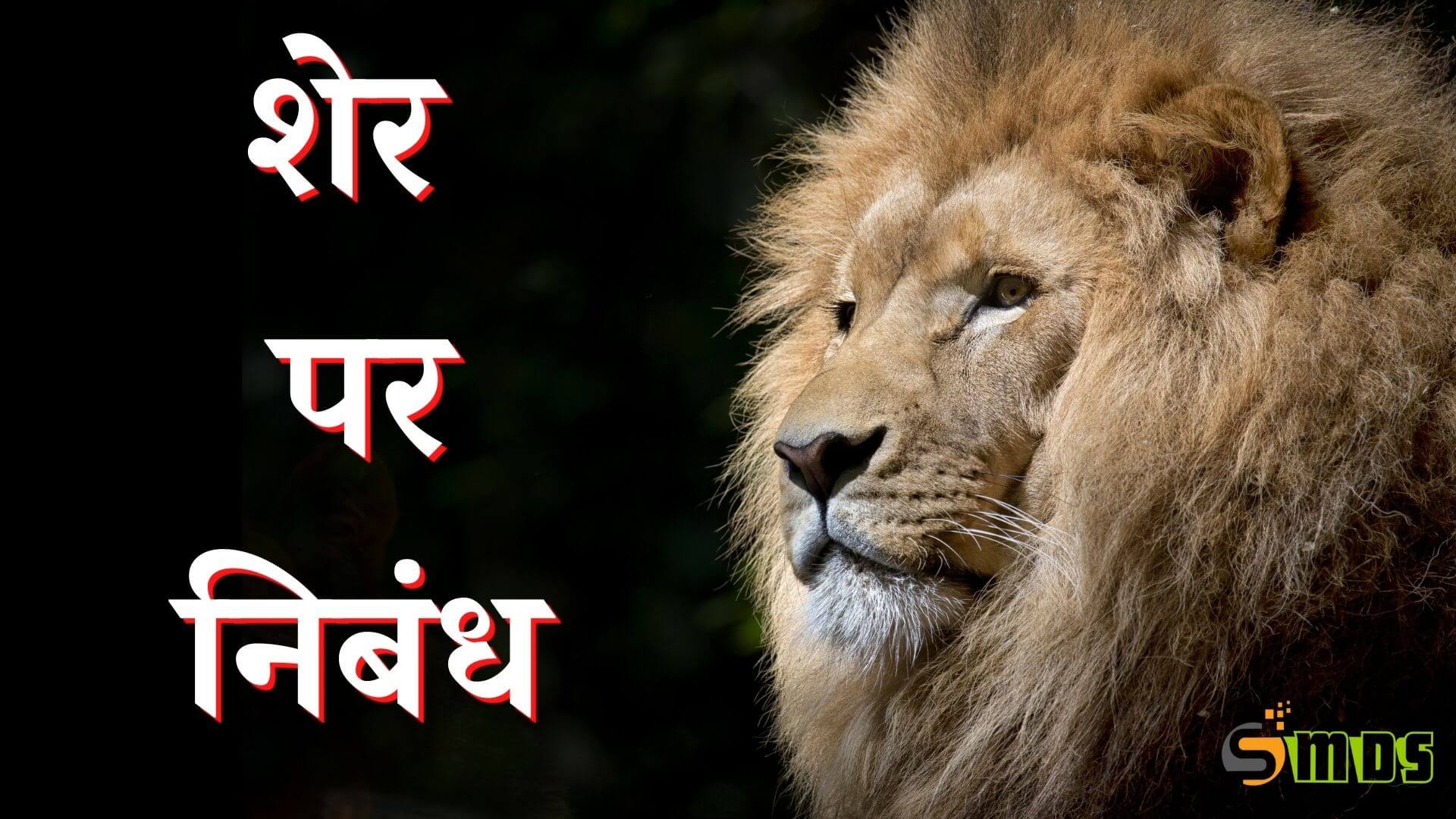 शेर पर निबंध - Essay on Lion in Hindi