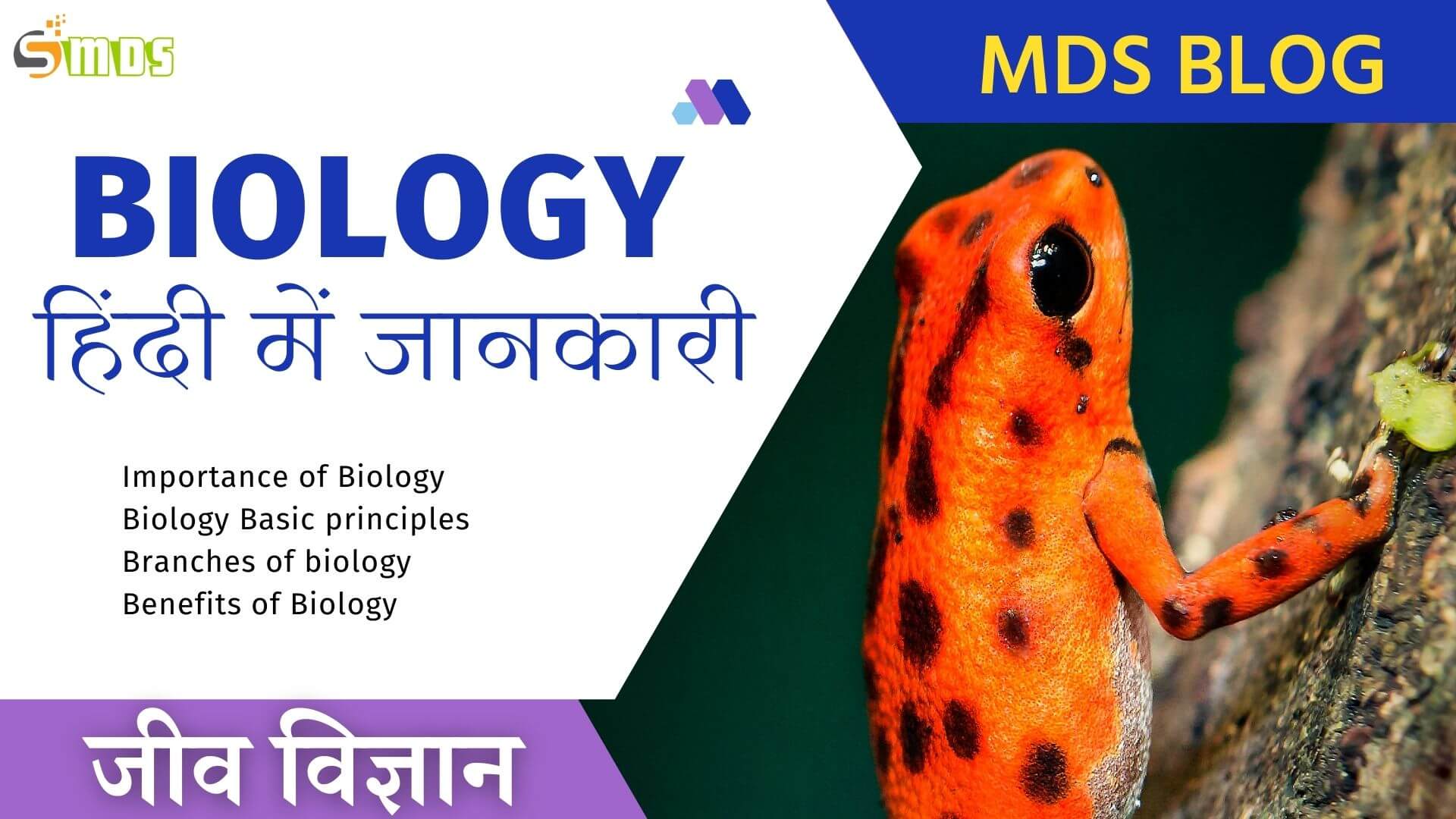 जीव विज्ञान (बायोलॉजी) क्या है - What is Biology in Hindi, Biology meaning in hindi, जीव विज्ञान की परिभाषा