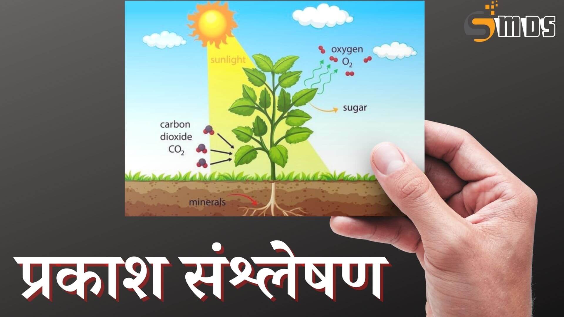 प्रकाश संश्लेषण क्या है - What is Photosynthesis in Hindi