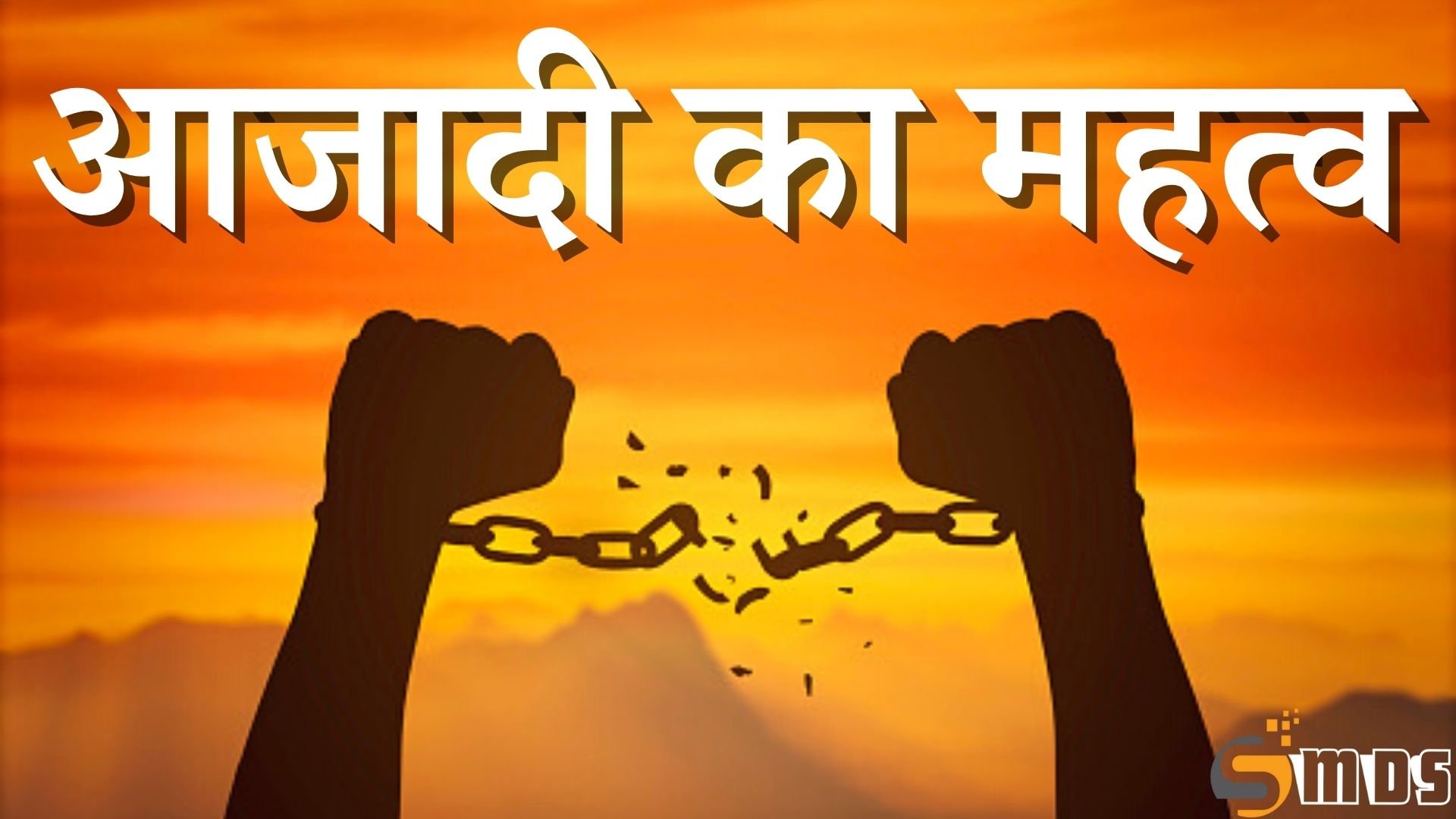 a essay on importance of freedom in hindi