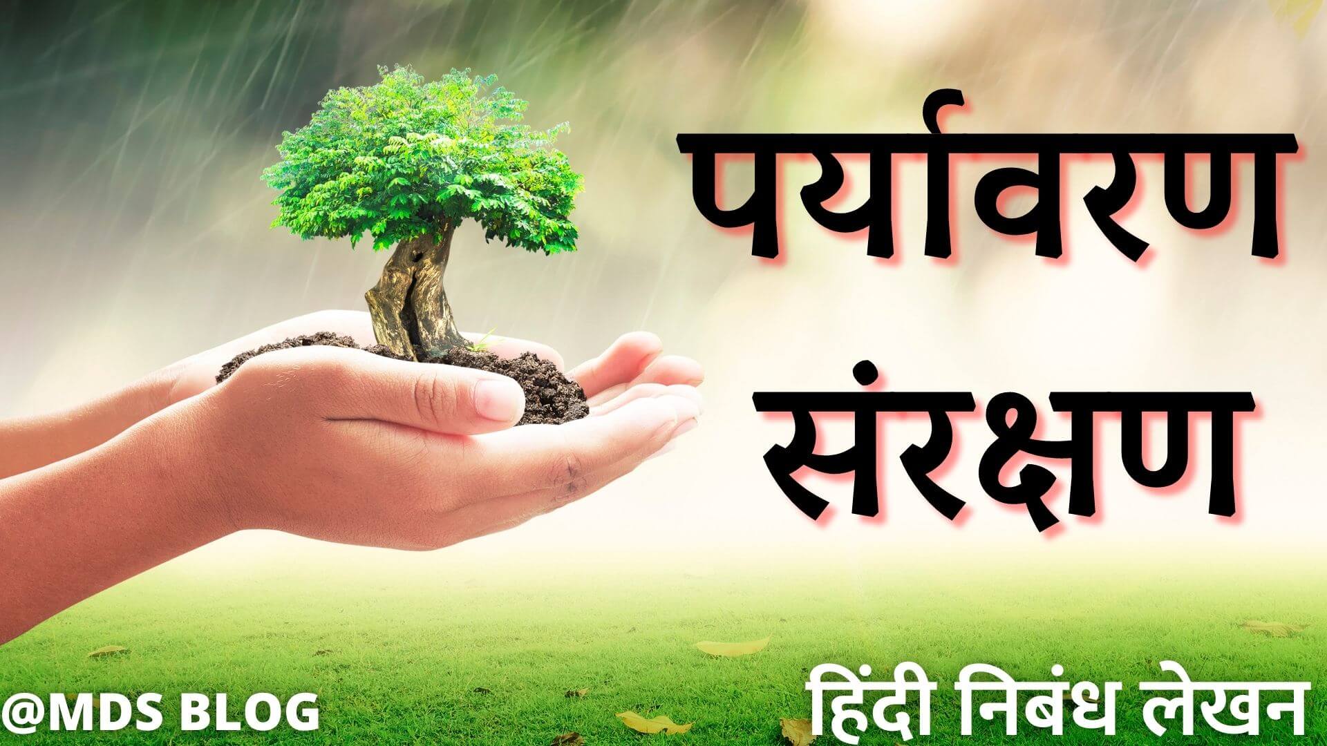 Environmental Protection Essay in Hindi